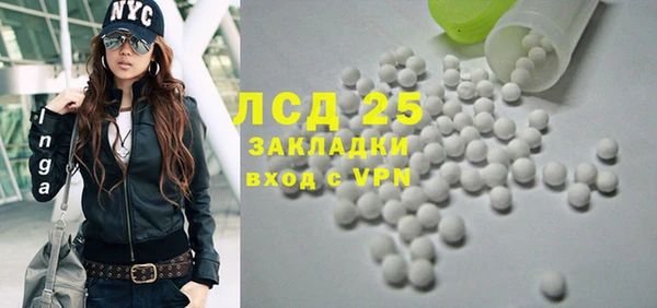 круглые Тайга