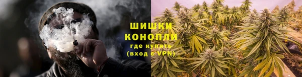 мяу мяу мука Сосновоборск
