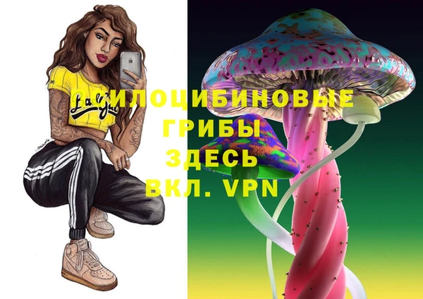 мяу мяу мука Сосновоборск