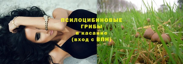 спиды Сосновый Бор
