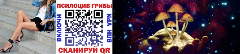 Галлюциногенные грибы Magic Shrooms  МЕГА зеркало  Болхов 