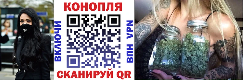 где купить наркотик  Болхов  omg ССЫЛКА  Каннабис LSD WEED 